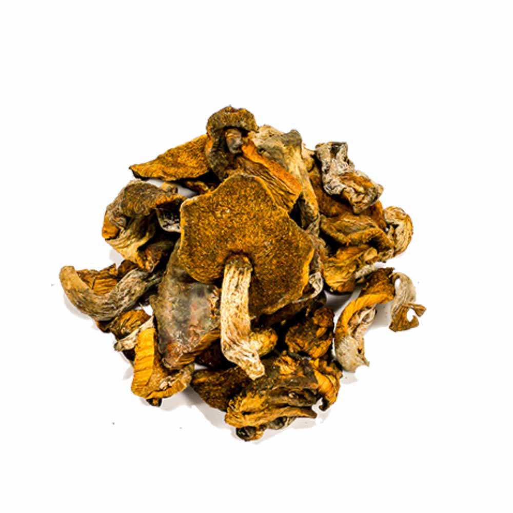 Funghi Seco Chileno - Armazém Seu Luiz 150g